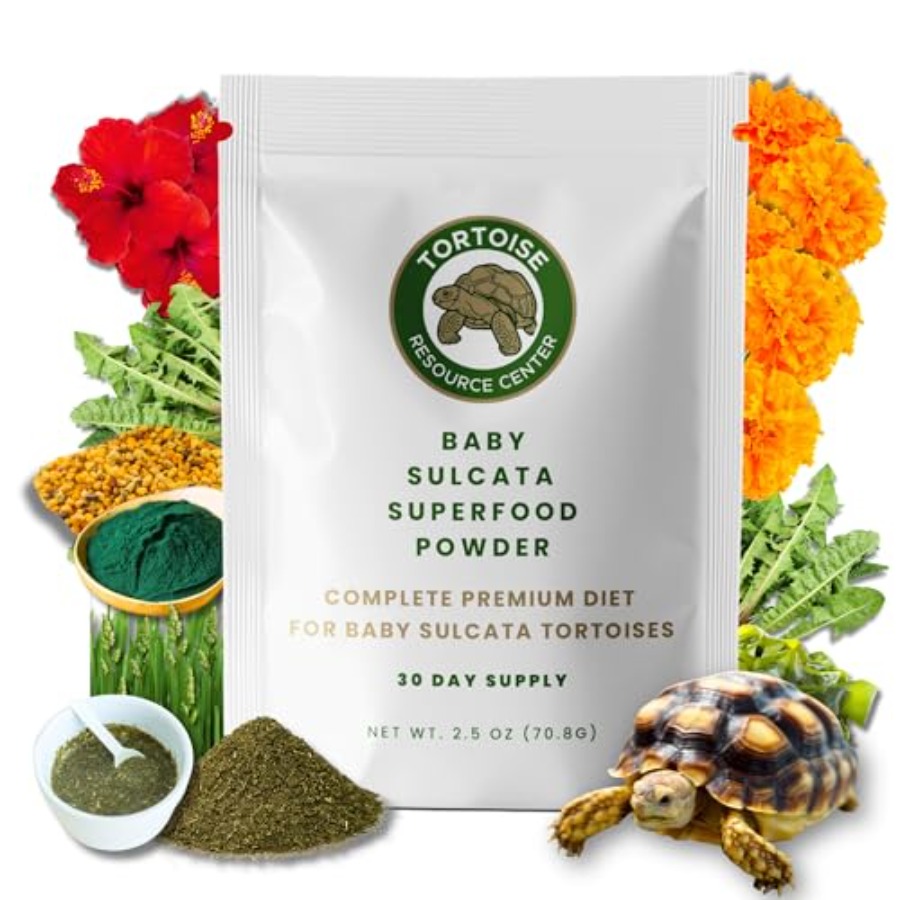 【Spot goods】Baby Sulcata Food  - Baby Food With Protein recensione e prezzo
