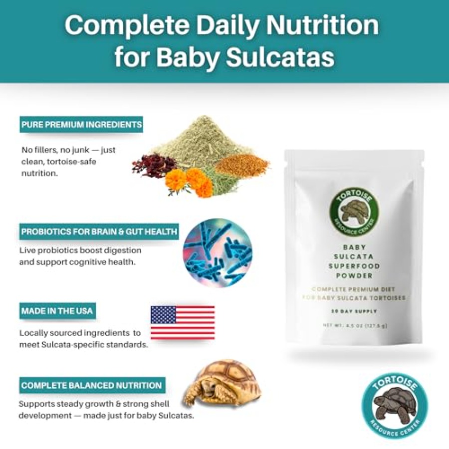 【Spot goods】Baby Sulcata Food  - Baby Food With Protein recensione e prezzo