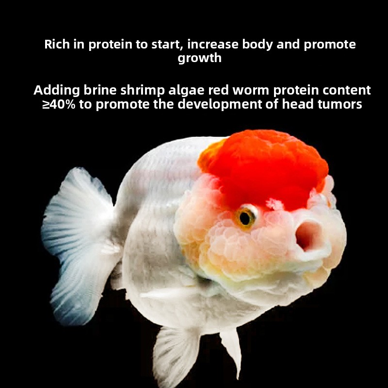 Fish Baby Sinking Goldfish Foo - Baby Food With Protein recensione e prezzo