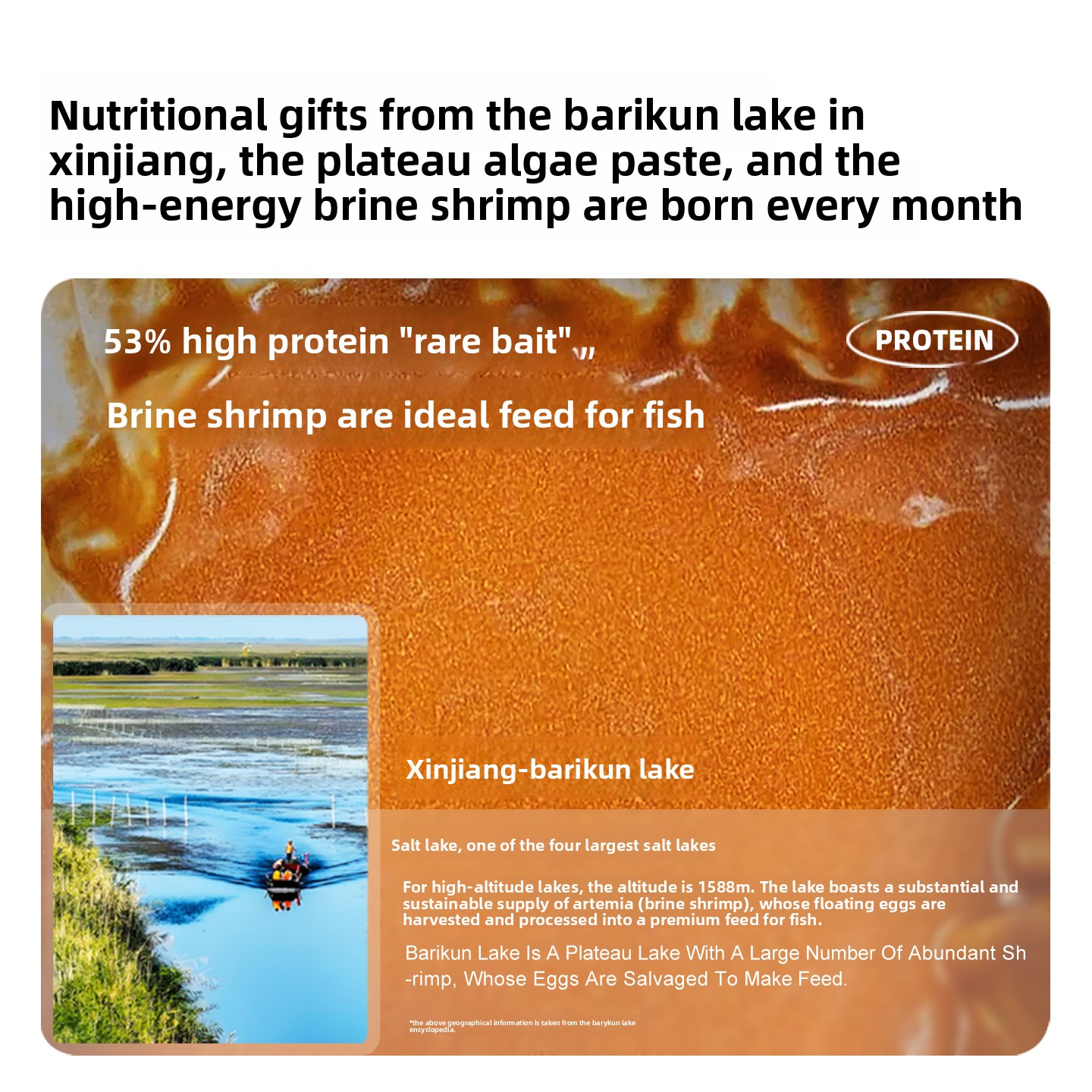 SANKii Decapsulated Brine Shri - Baby Food With Protein recensione e prezzo