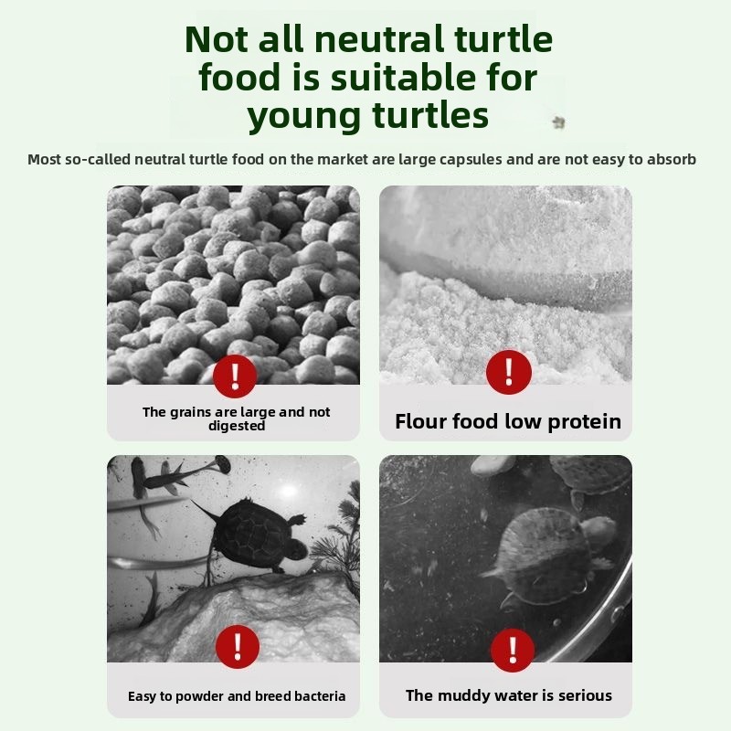 Nai chong Hatchling Turtle Foo - Baby Food With Protein recensione e prezzo